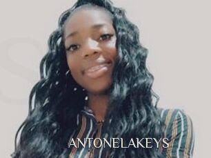 ANTONELAKEYS