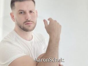 AaronSchulz