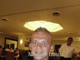 Alfamale_Dutch