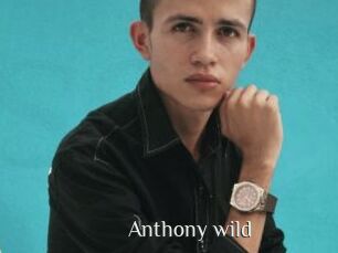 Anthony_wild