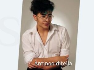 Antinoo_ditella