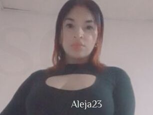 Aleja23