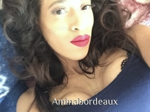 Aminabordeaux