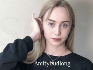 Amitybudlong