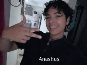 Anashus