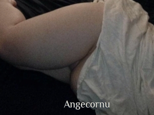 Angecornu