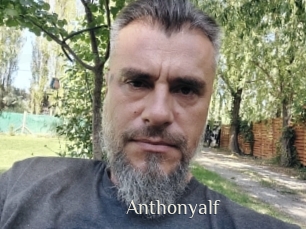 Anthonyalf