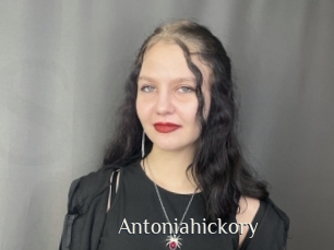 Antoniahickory