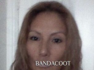 BANDACOOT