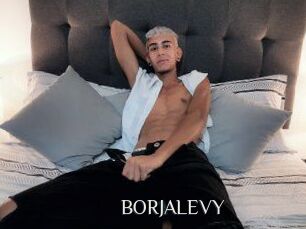 BORJALEVY