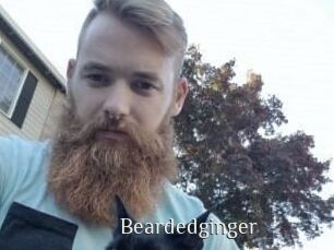 Beardedginger