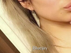 Blue_jay