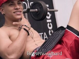 Boysensualhard