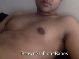 BrownStallion4Babes