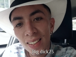 Big_dick23