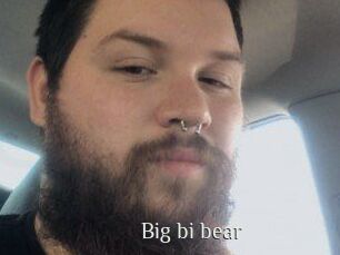 Big_bi_bear