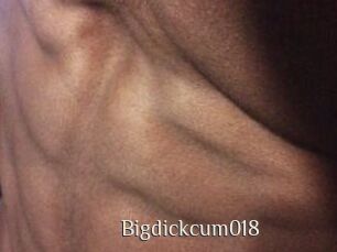 Bigdickcum018