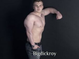 Bigdickroy