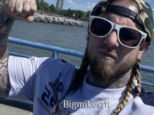 Bigmikesfit