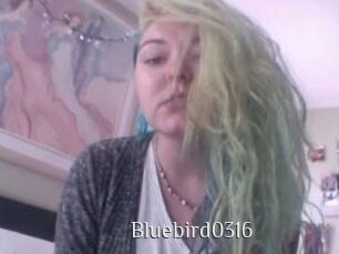 Bluebird0316