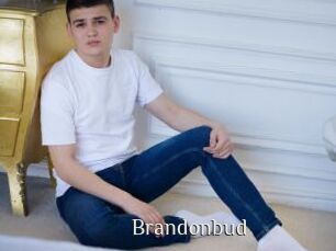 Brandonbud