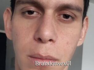 Brandonsex01