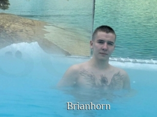 Brianhorn