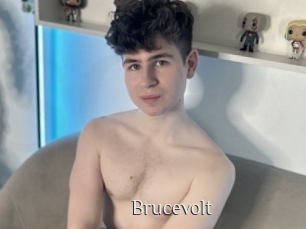 Brucevolt