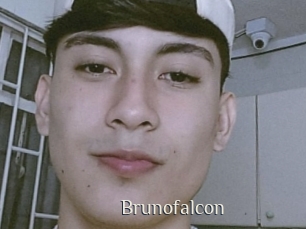 Brunofalcon