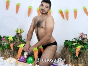 Brunosains