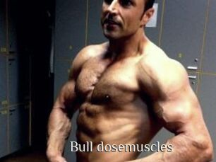 Bull_dosemuscles