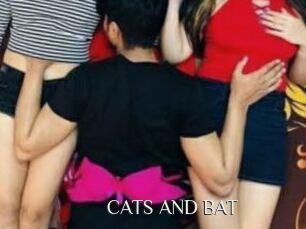 CATS_AND_BAT