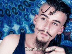 DominicTerrier