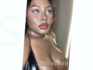 Destinytorn