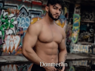 Donmerlin