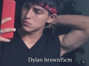 Dylan_brown15cm