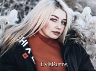 EvisBurns