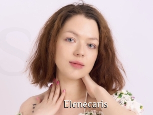 Elenecaris