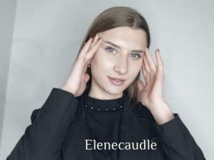 Elenecaudle