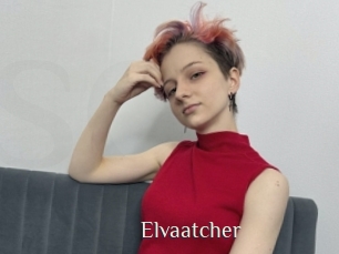 Elvaatcher