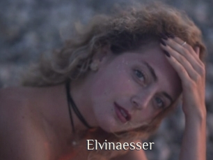 Elvinaesser