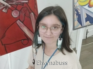 Elwynabuss