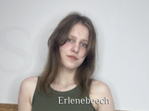 Erlenebeech