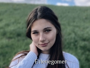 Erlenegomer