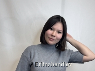 Erlinahandley