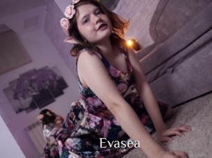 Evasea