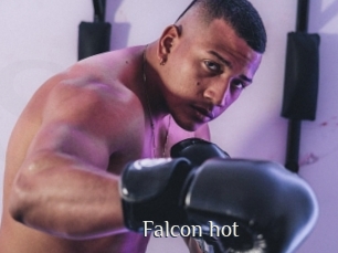 Falcon_hot