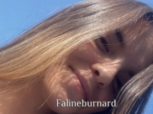 Falineburnard