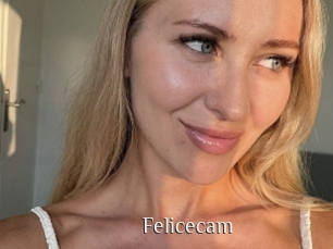 Felicecam