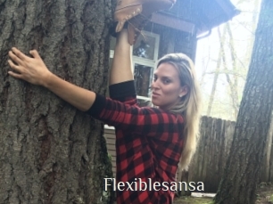 Flexiblesansa